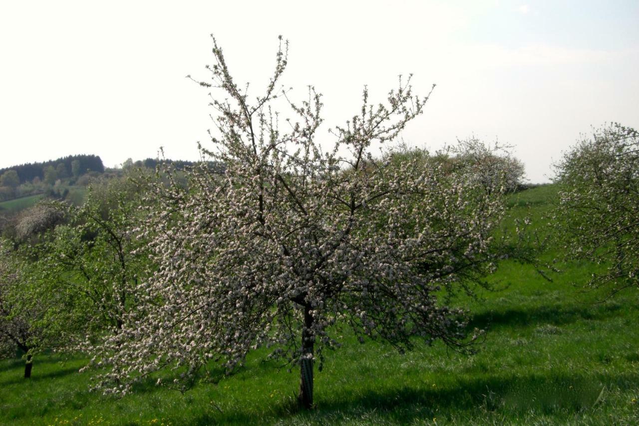 Ferienwohnung Kuhn Rhumspringe Kültér fotó